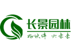 什么花在春節(jié)前后開