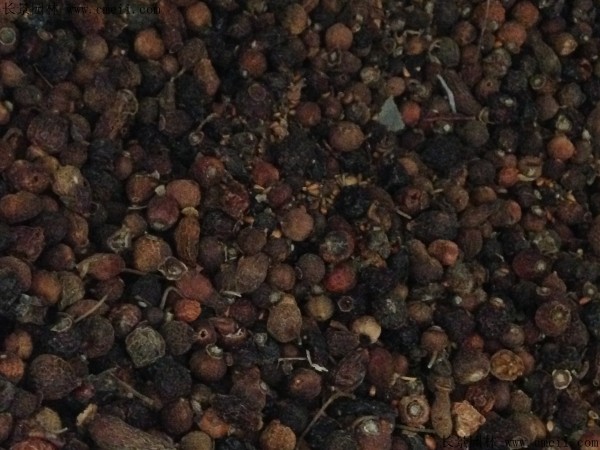 玫瑰花種子圖片 玫瑰花種子圖片