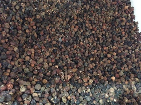 玫瑰花種子圖片 玫瑰花種子圖片